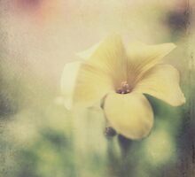 Ever So Gently... by Laurie Search