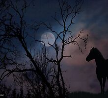 Moon Watcher by LucyAbrao