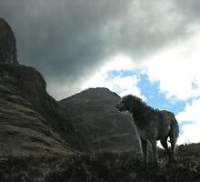 saddest deerhound story ever by joak