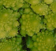 Textured greens by DEB CAMERON