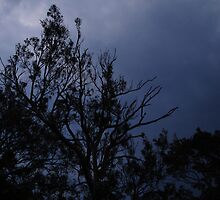 Stormy Sky by Caine Mazoudier