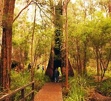 Walking through a tree by georgieboy98