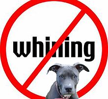 NO Whining by koolmann