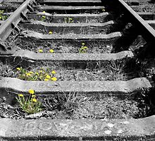 Train Track by Samantha Jones