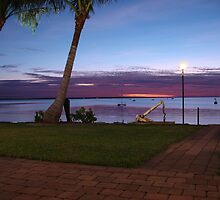 Darwin Twighlight by Caine Mazoudier