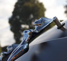 Lady Chrome by LJ_©BlaKbird Photography