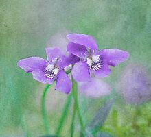 Waking up to a beautiful day by Maria Ismanah Schulze-Vorberg