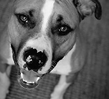 Smiles! by Rebecca Lipscomb
