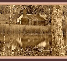 A Tinny Reflection by Burnie