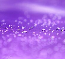 Simple things by jussta