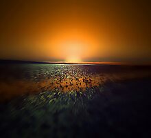 TO THE ENDS OF THE WORLD by leonie7