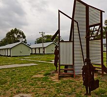 Bonegilla by Werner Padarin