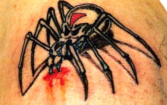 spider web tattoos. spider web tattoo designs,best