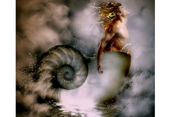 Nerites Sea God" Fine Art Print by Shanina Conway | RedBubble Nerites Sea God" Fine Art Print by Shanina Conway | RedBubble