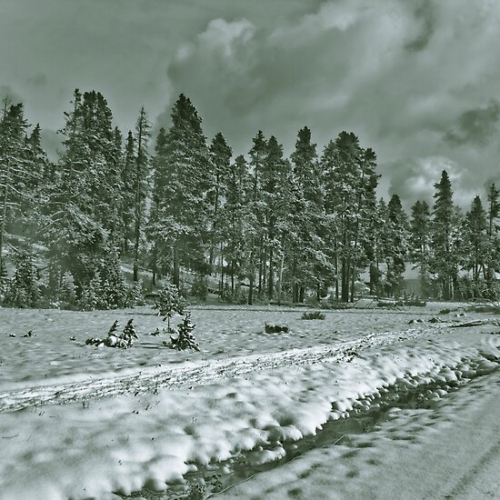 Black And White 12s. Yellowstone in Black and White