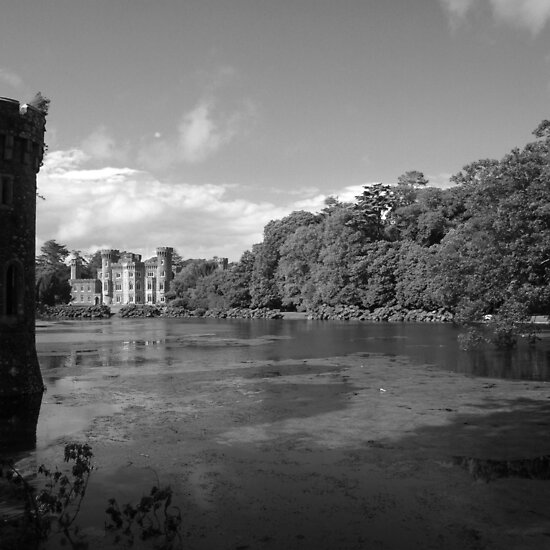 work.1834217.4.flat,550x550,075,f.johnstown-castle-in-black-and-white.jpg