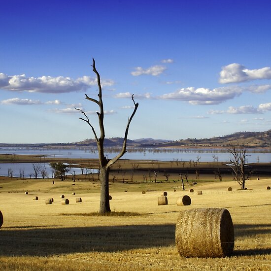 Make Hay While the Sun Shines by David Haviland