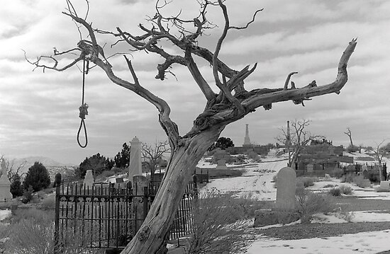 Hanging Tree by Harry Snowden. Favorite · Report Concern; Share This