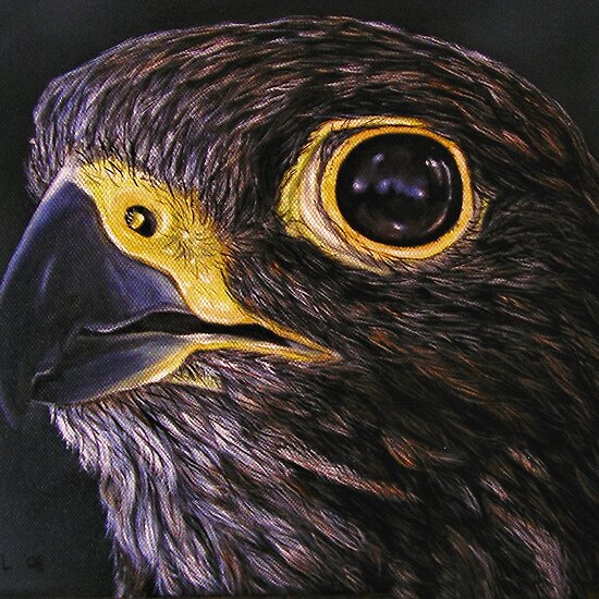 quot;Peregrine Falconquot; - Oil peregrine falcon diving. quot;Peregrine Falconquot; - Oil