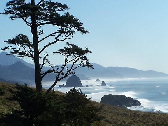 Haystack Rock, Oregon belongs to the following groups: