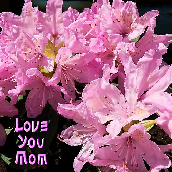 love you mom pics. Love You Mom by Gail Bridger