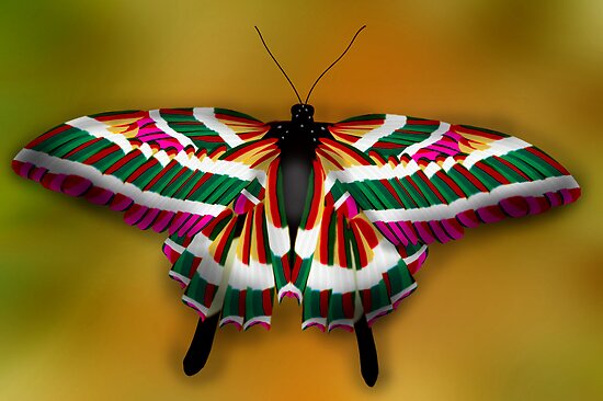 Source url:http://www.fancypocket.sg/colorful-butterfly-tattoo-sticker.html 