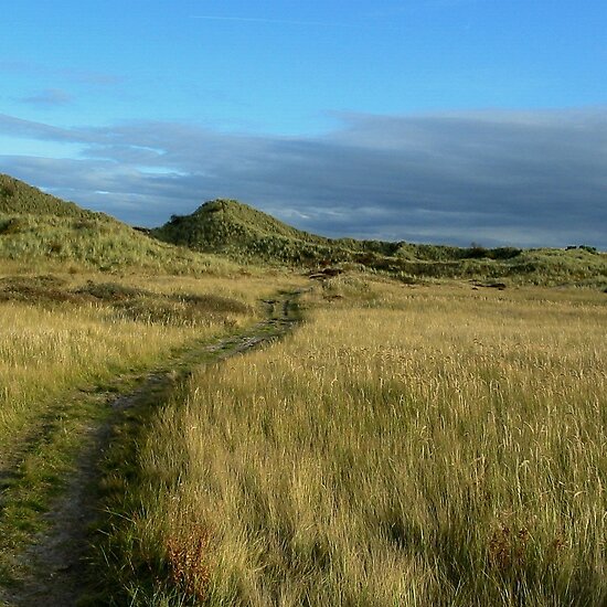 The Track by ienemien