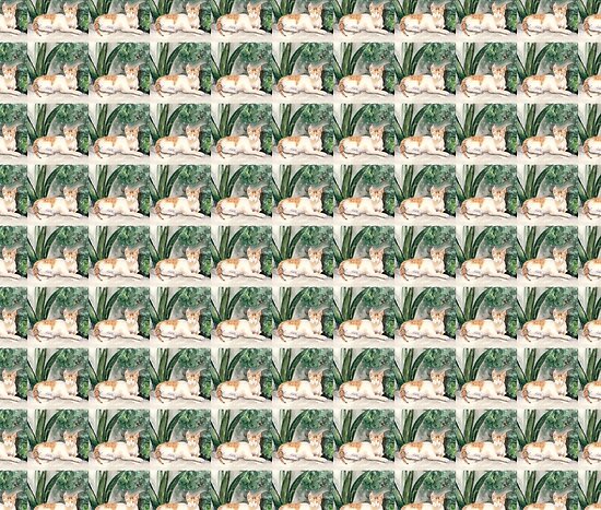 God made the cat by Caroline Lembke God made the cat by Caroline Lembke