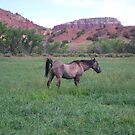 work.4308935.1.flat,135x135,075,t.jpg