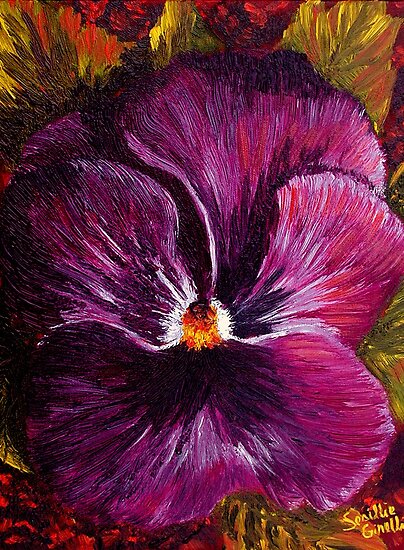 Purple Pansy by sesillie