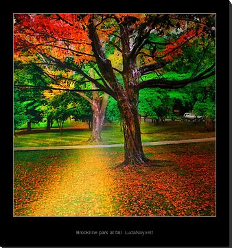 Brookline park at fall