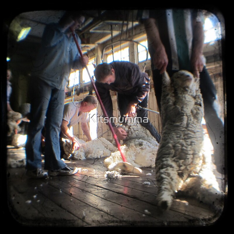 systems of body. Body Systems Games