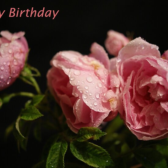 Birthday Cards With Roses. Happy Birthday Card ~ Roses