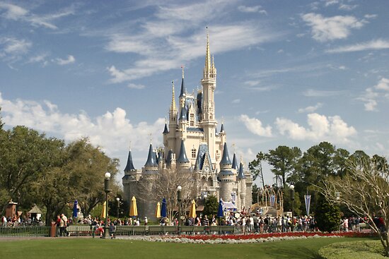 magic kingdom castle. WDW Magic Kingdom Castle by