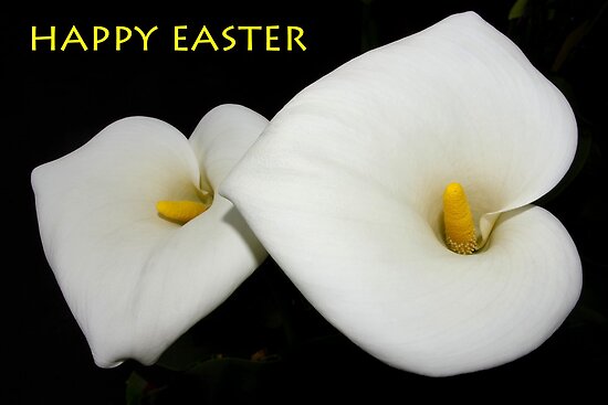 happy easter cards images. happy easter cards images.
