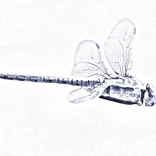 dragonfly art pictures. Dragonfly Art by BluAlien