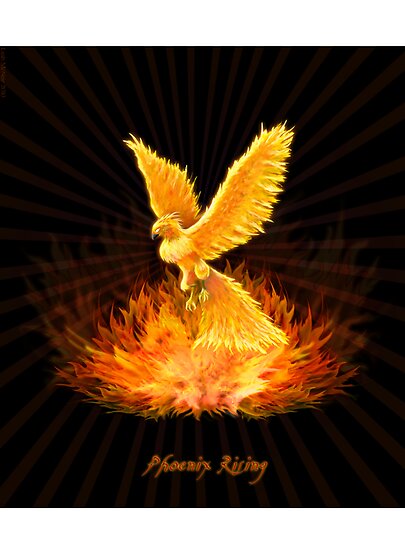 phoenix sun bird