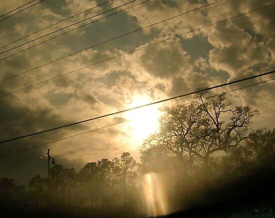  Sunbreak behind a Creepy Tree by Kristin Sharpe