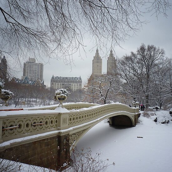 bow bridge in central park nyc. Bow Bridge Central Park in