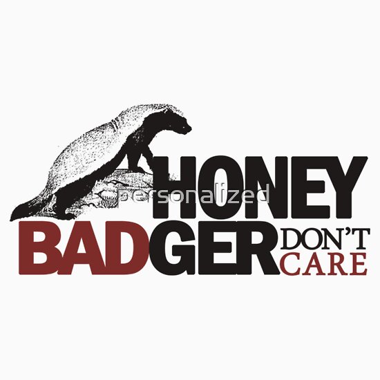 honey badger fighting. honey badger don.