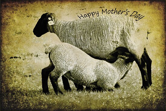 happy mothers day pictures print. Happy Mother#39;s Day by pat