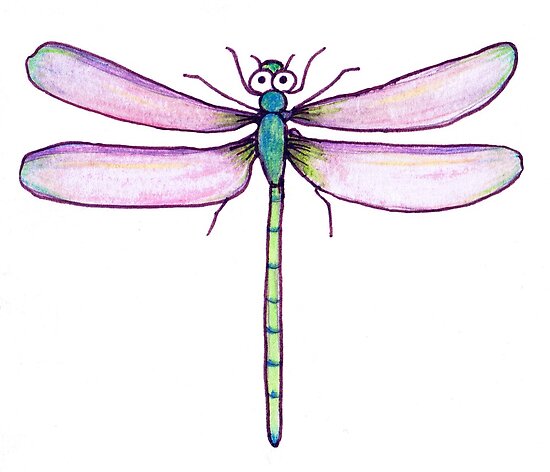 Cute+dragonfly+drawing