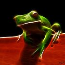 Tree Frog by Edvar