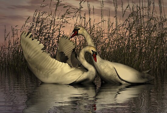 Greeting Cards, Matted Prints, Laminated Prints, Mounted Prints, Greeting Cards, Matted Prints, Laminated Prints, Mounted Prints,