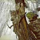 The Guardians