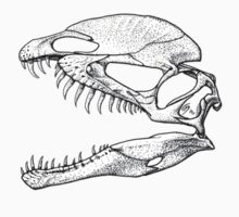 Dilophosaurus Dinosaur Skull Theropod: Art, Design & Photography ...