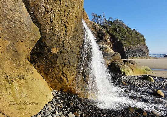 Image shows the sandstone wall, the waterfall, and looks down the beach toward Austin Point and the Pacific Ocean.