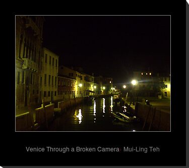 "Venice Through a Broken Camera" by Mui-Ling Teh