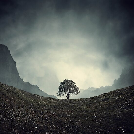 30 Magnificent, Minimal, Moody Landscapes » Redbubble Blog