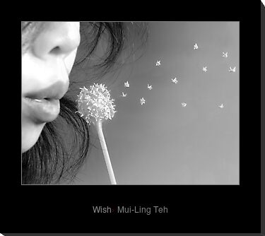 "Wish" by Mui-Ling Teh